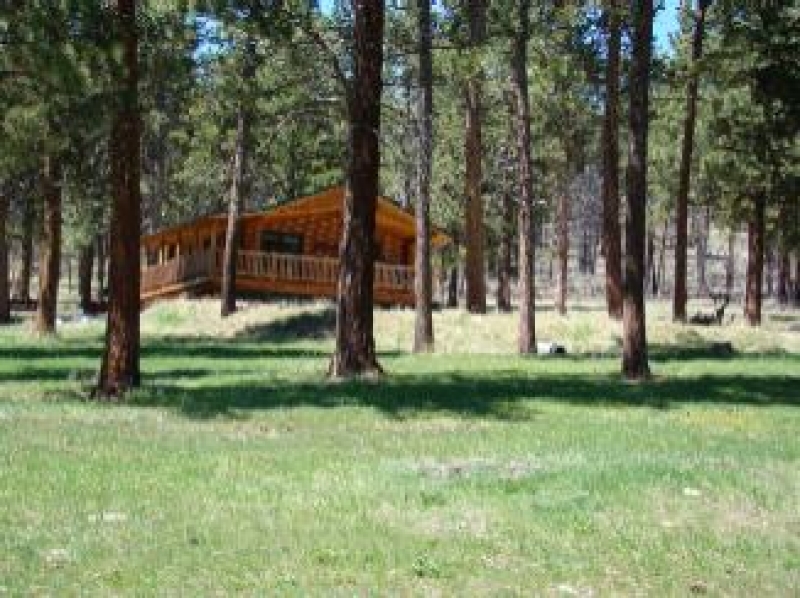 Bitter Root Log Cabin